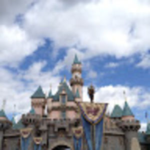 Meet your Posher, Tekoah